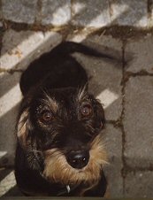 Elly